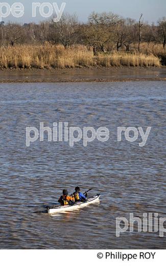 SORTIE EN KAYAK DE MER SUR  L' ESTUAIRE DE LA GIRONDE, MEDOC, AQUITAINE. (33F17523.jpg)