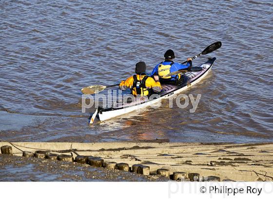 SORTIE EN KAYAK DE MER SUR  L' ESTUAIRE DE LA GIRONDE, MEDOC, AQUITAINE. (33F17524.jpg)