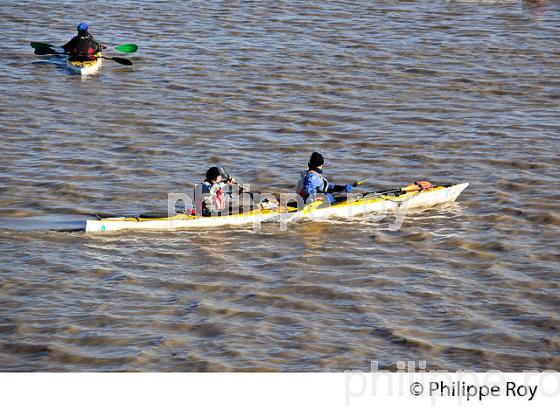 SORTIE EN KAYAK DE MER SUR  L' ESTUAIRE DE LA GIRONDE, MEDOC, AQUITAINE. (33F17525.jpg)