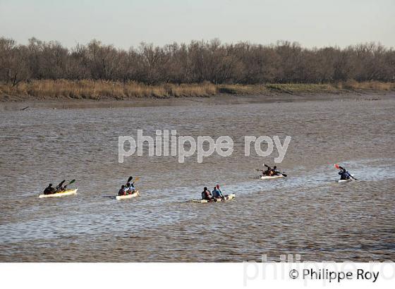 SORTIE EN KAYAK DE MER SUR  L' ESTUAIRE DE LA GIRONDE, MEDOC, AQUITAINE. (33F17527.jpg)