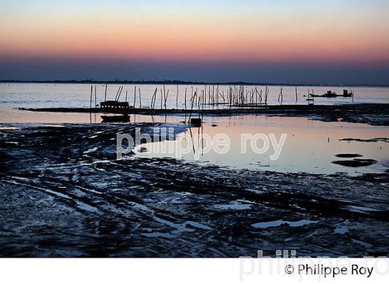 LEVER DU JOUR SUR LE BASSIN D' ARCACHON A PIRAILLAN, POINTE DU CAP FERRET, GIRONDE, AQUITAINE. (33F17528.jpg)