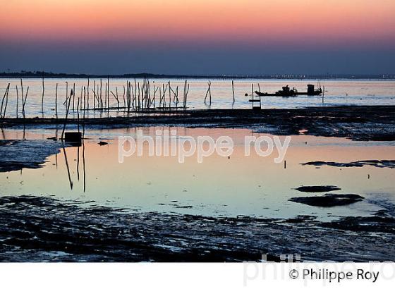 LEVER DU JOUR SUR LE BASSIN D' ARCACHON A PIRAILLAN, POINTE DU CAP FERRET, GIRONDE, AQUITAINE. (33F17529.jpg)