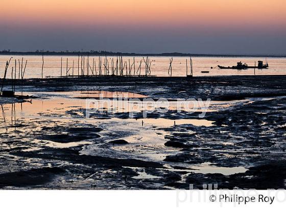 LEVER DU JOUR SUR LE BASSIN D' ARCACHON A PIRAILLAN, POINTE DU CAP FERRET, GIRONDE, AQUITAINE. (33F17531.jpg)