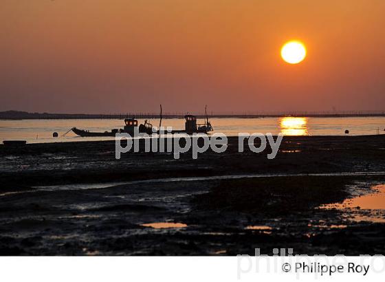 LEVER DU JOUR SUR LE BASSIN D' ARCACHON A PIRAILLAN, POINTE DU CAP FERRET, GIRONDE, AQUITAINE. (33F17532.jpg)