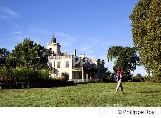 DOMAINE DE CERTES, RESERVE NATURELLE, AUDENGE, BASSIN D' ARCACHON, AQUITAINE. (33F17605.jpg)
