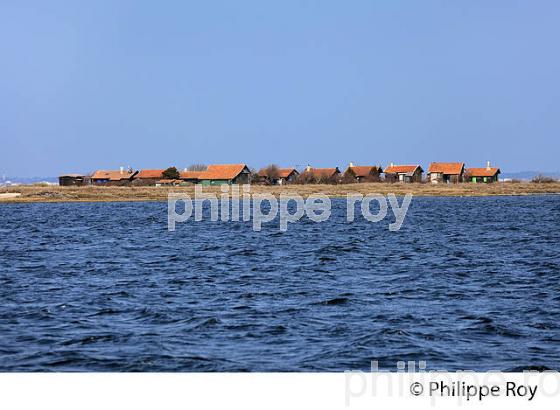 ILE AUX OISEAUX, BASSIN D' ARCACHON, COTE D' ARGENT, LA TESTE, GIRONDE. (33F17708.jpg)