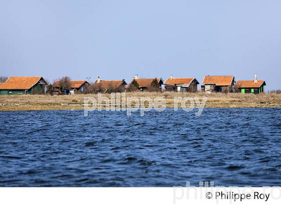 ILE AUX OISEAUX, BASSIN D' ARCACHON, COTE D' ARGENT, LA TESTE, GIRONDE. (33F17709.jpg)