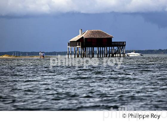 CABANE TCHANQUEE, ILE AUX OISEAUX, BASSIN D' ARCACHON, COTE D' ARGENT, GIRONDE. (33F17717.jpg)