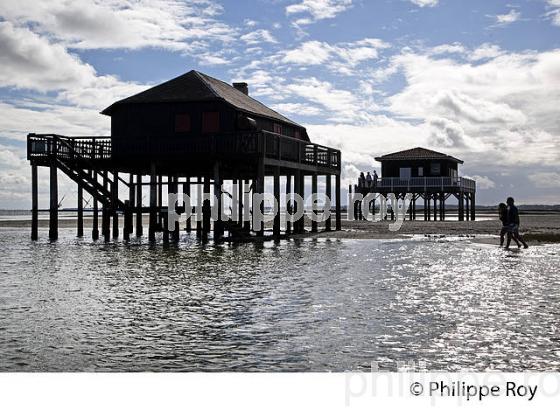 CABANE TCHANQUEE, ILE AUX OISEAUX, BASSIN D' ARCACHON, COTE D' ARGENT, GIRONDE. (33F17719.jpg)