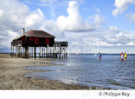 CABANE TCHANQUEE, ILE AUX OISEAUX, BASSIN D' ARCACHON, COTE D' ARGENT, GIRONDE. (33F17720.jpg)