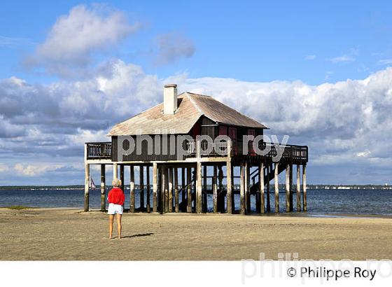 CABANE TCHANQUEE, ILE AUX OISEAUX, BASSIN D' ARCACHON, COTE D' ARGENT, GIRONDE. (33F17724.jpg)