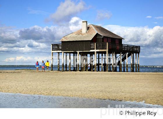 CABANE TCHANQUEE, ILE AUX OISEAUX, BASSIN D' ARCACHON, COTE D' ARGENT, GIRONDE. (33F17725.jpg)