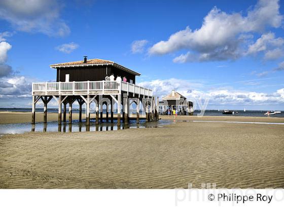 CABANE TCHANQUEE, ILE AUX OISEAUX, BASSIN D' ARCACHON, COTE D' ARGENT, GIRONDE. (33F17726.jpg)