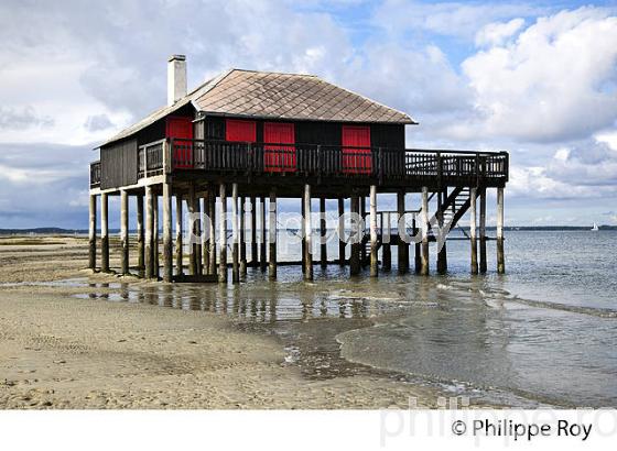 CABANE TCHANQUEE, ILE AUX OISEAUX, BASSIN D' ARCACHON, COTE D' ARGENT, GIRONDE. (33F17728.jpg)