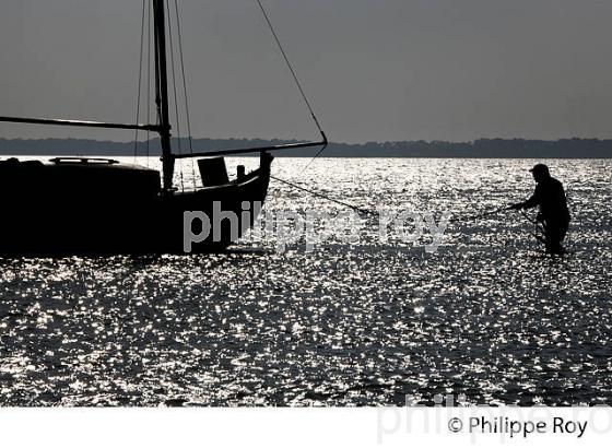 ILE AUX OISEAUX, BASSIN D' ARCACHON, COTE D' ARGENT, LA TESTE, GIRONDE. (33F17729.jpg)