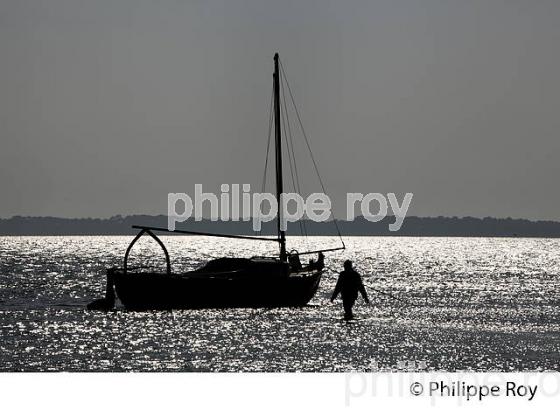 ILE AUX OISEAUX, BASSIN D' ARCACHON, COTE D' ARGENT, LA TESTE, GIRONDE. (33F17732.jpg)