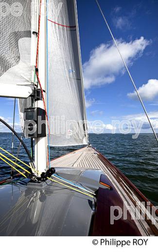 NAVIGATION A LA VOILE ,  BASSIN D' ARCACHON, COTE D' ARGENT, GIRONDE. (33F17803.jpg)