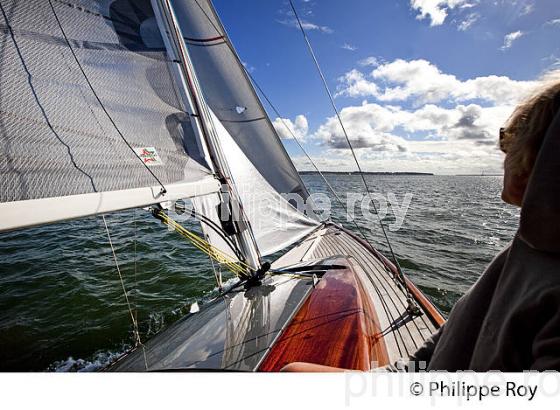NAVIGATION A LA VOILE ,  BASSIN D' ARCACHON, COTE D' ARGENT, GIRONDE. (33F17808.jpg)