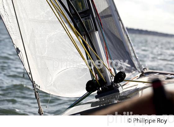 NAVIGATION A LA VOILE ,  BASSIN D' ARCACHON, COTE D' ARGENT, GIRONDE. (33F17810.jpg)