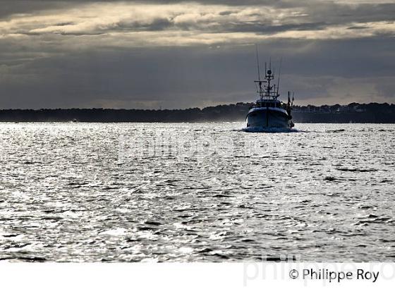 CHALUTIER DE PECHE, BASSIN D' ARCACHON, COTE D' ARGENT, GIRONDE. (33F17814.jpg)