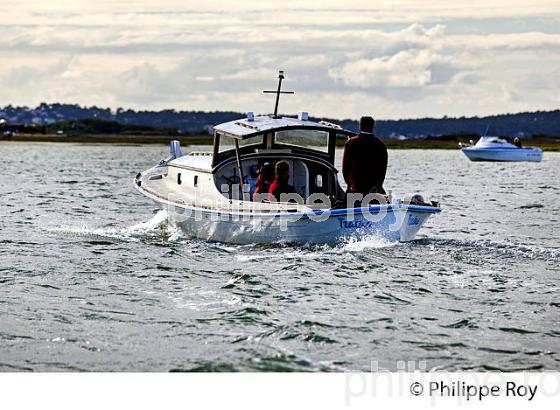 PINASSE DU  BASSIN D' ARCACHON, COTE D' ARGENT, GIRONDE. (33F17817.jpg)