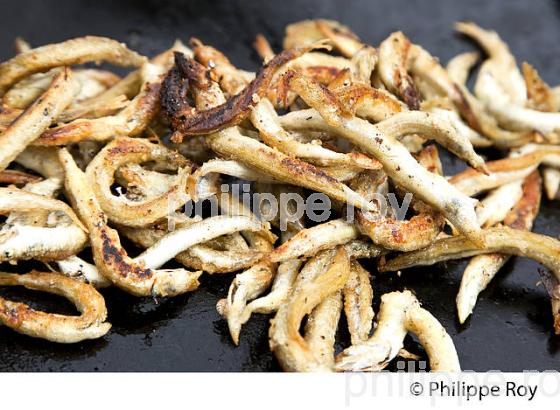 FRITURE  LANCONS A LA PLANCHA,   BASSIN D' ARCACHON, COTE D' ARGENT, GIRONDE. (33F17826.jpg)