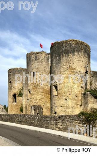 CHATEAU DE VILLANDRAUT, VALLEE DU CIRON, SUD GIRONDE, AQUITAINE. (33F17829.jpg)