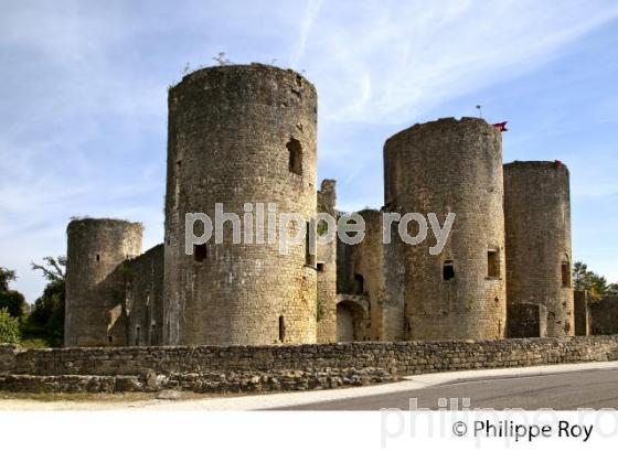 CHATEAU DE VILLANDRAUT, VALLEE DU CIRON, SUD GIRONDE, AQUITAINE. (33F17831.jpg)