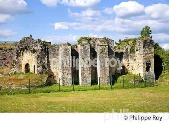 LA CITADELLE DE BLAYE ET VESTIGES DU CHEMIN DE SAINT JACQUES , ESTUAIRE DE LA GIRONDE, AQUITAINE. (33F18029.jpg)