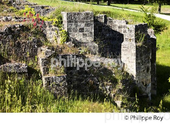 LA CITADELLE DE BLAYE ET VESTIGES DU CHEMIN DE SAINT JACQUES , ESTUAIRE DE LA GIRONDE, AQUITAINE. (33F18035.jpg)