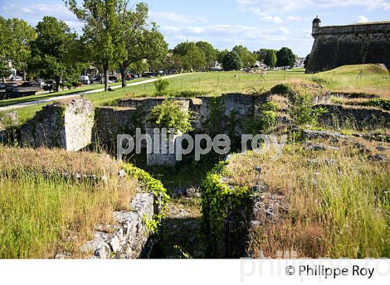 LA CITADELLE DE BLAYE ET VESTIGES DU CHEMIN DE SAINT JACQUES , ESTUAIRE DE LA GIRONDE, AQUITAINE. (33F18039.jpg)