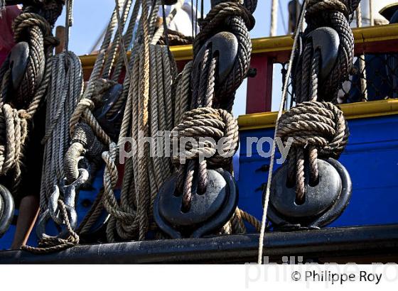 REPLIQUE DU  VAISSEAU L' HERMIONE,  A BORDEAUX, GIRONDE, AQUITAINE. (33F18321.jpg)