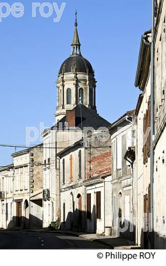 VILLAGE   DU SAUTERNAIS, VIN DE SAUTERNES , GIRONDE. (33F18835.jpg)