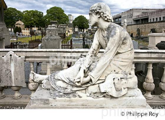 LE CIMETIERE DE LA CHARTREUSE, BORDEAUX, GIRONDE. (33F19236.jpg)