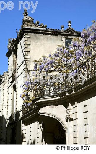 HOTEL DE L' OCTROI, 17EME, 18 EME SIECLE, BORDEAUX, GIRONDE. (33F20020.jpg)