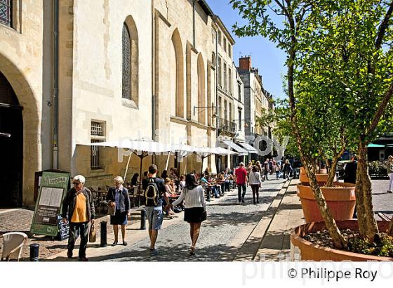 PLACE CAMILLE-JULLIAN, QUARTIER SAINT PIERRE, BORDEAUX, GIRONDE, AQUITAINE. (33F21737.jpg)