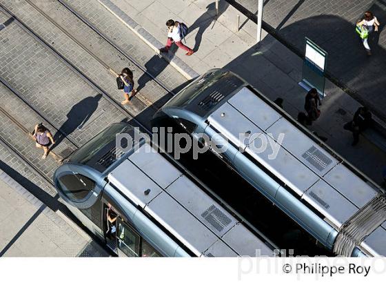 LE TRAMWAY DE BORDEAUX , GIRONDE. (33F21826.jpg)