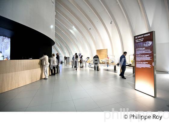 LA CITE DU VIN, UN MONDE DE CULTURES, QUARTIER BACALAN, BORDEAUX, GIRONDE. (33F22603.jpg)