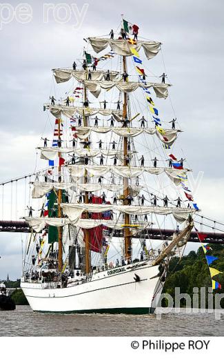 PARADE VOILIER ECOLE, CUAUHTEMOC, FETE DU FLEUVE , BORDEAUX, GIRONDE. (33F22617.jpg)