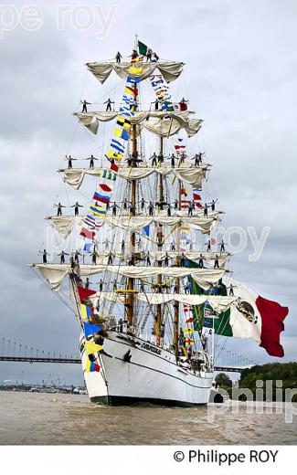 PARADE VOILIER ECOLE, CUAUHTEMOC, FETE DU FLEUVE , BORDEAUX, GIRONDE. (33F22619.jpg)