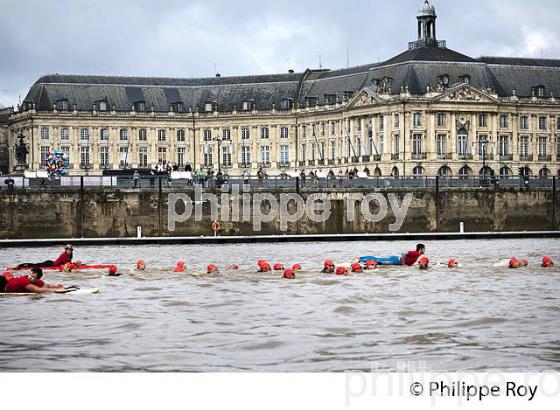 TRAVERSEE DE BORDEAUX A LA NAGE, FETE DU FLEUVE, BORDEAUX, GIRONDE. (33F22917.jpg)