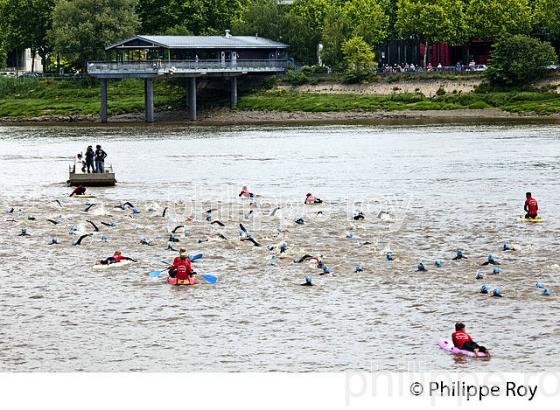 TRAVERSEE DE BORDEAUX A LA NAGE, FETE DU FLEUVE, BORDEAUX, GIRONDE. (33F22933.jpg)