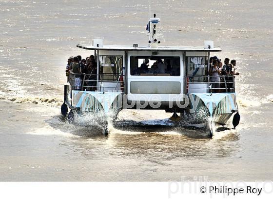 NAVETTE FLUVIALE, BATCUB, TRANSPORT EN COMMUN, SUR LA GARONNE, BORDEAUX. (33F23812.jpg)