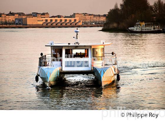 NAVETTE FLUVIALE, BATCUB, TRANSPORT EN COMMUN, SUR LA GARONNE, BORDEAUX. (33F23814.jpg)