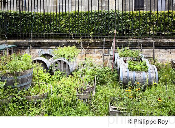 JARDIN POTAGER URBAIN, EN PERMACULTURE, QUARTIER DE LA BASTIDE , BORDEAUX, GIRONDE. (33F25408.jpg)