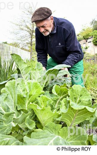 PERMACULTURE, JARDIN BOTANIQUE , QUARTIER DE LA BASTIDE, VILLE DE BORDEAUX . (33F25419.jpg)