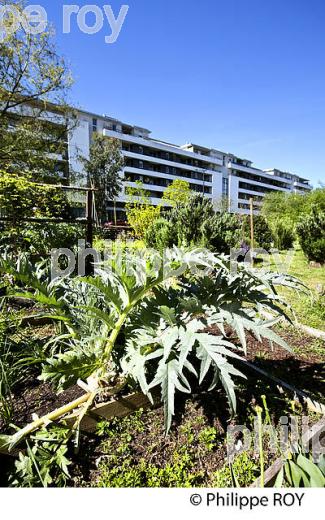 LE JARDIN BOTANIQUE , QUARTIER DE LA BASTIDE, VILLE DE BORDEAUX . (33F25432.jpg)