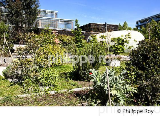 LE JARDIN BOTANIQUE , QUARTIER DE LA BASTIDE, VILLE DE BORDEAUX . (33F25435.jpg)