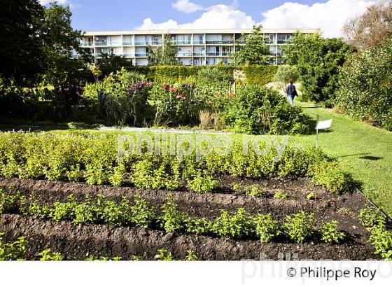 LE JARDIN BOTANIQUE , QUARTIER DE LA BASTIDE, VILLE DE BORDEAUX . (33F25436.jpg)