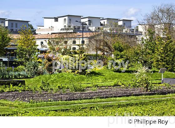 LE JARDIN BOTANIQUE , QUARTIER DE LA BASTIDE, VILLE DE BORDEAUX . (33F25503.jpg)